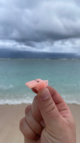children's whistle found on beach clean
